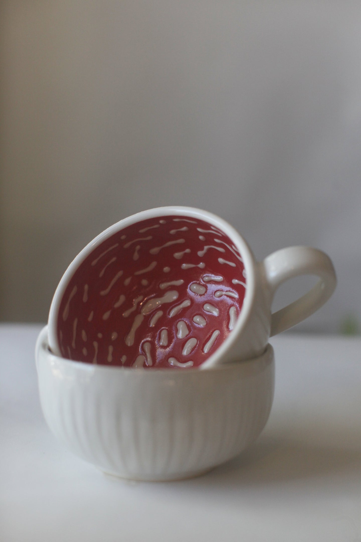 Aminita Mushroom Mug